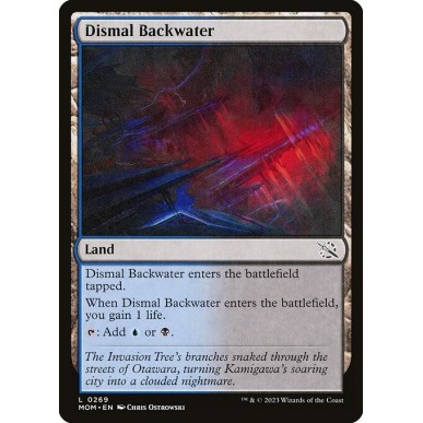 Dismal Backwater