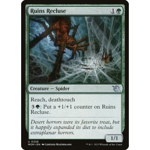 Eremita delle Rovine