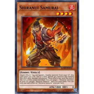 Shiranui Samurai