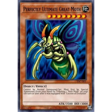 Grande Falena Perfetta