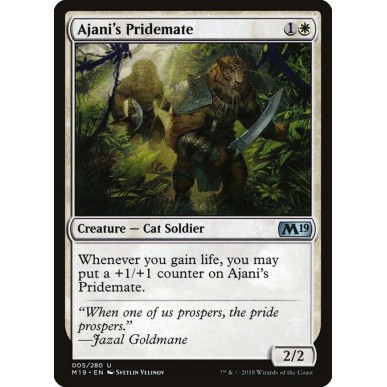 Compagno di Ajani
