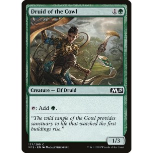 Druida della Cappa