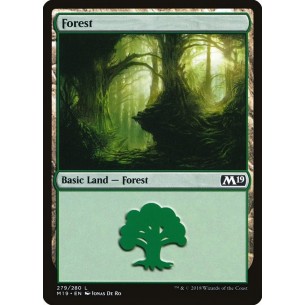 Forest