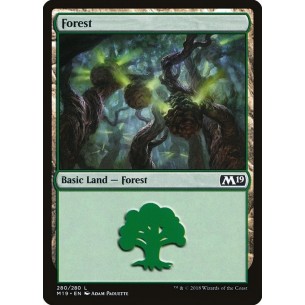 Forest