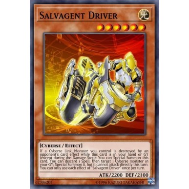 Salvagent Driver