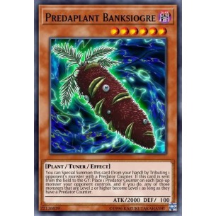 Predapianta Banksiorco