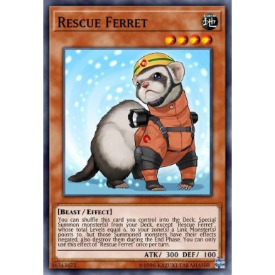 Rescue Ferret