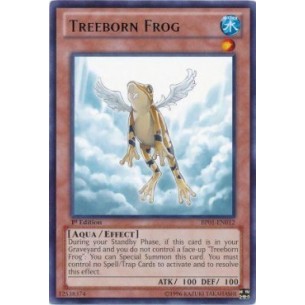 RANA degli Alberi (V.2 -...