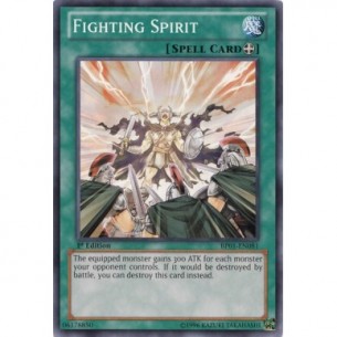 Spirito Combattente (V.1 -...