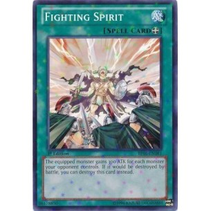 Spirito Combattente (V.2 -...