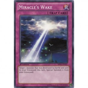 Risveglio del Miracolo (V.1...