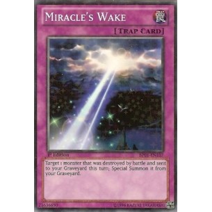 Risveglio del Miracolo (V.2...