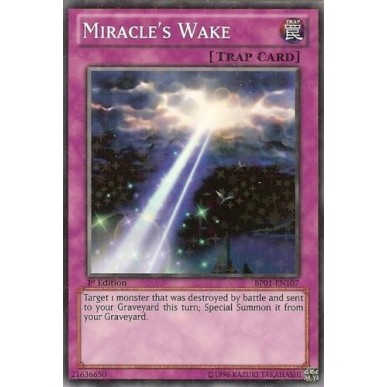 Risveglio del Miracolo (V.2 -...