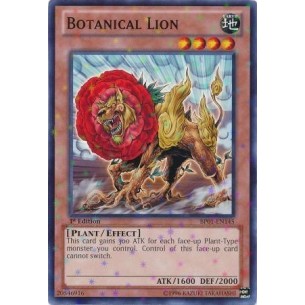 Leone Botanico (V.2 -...