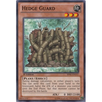 Siepe Guardiana (V.1 - Common)