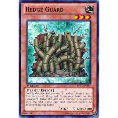 Siepe Guardiana (V.2 - Starfoil Rare)