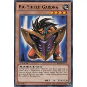 Grande Scudo Custode (V.1 -...