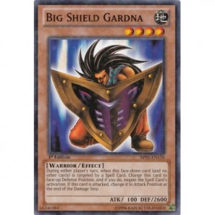 Grande Scudo Custode (V.2 -...