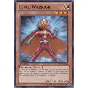Guerriero Livello (V.1 -...