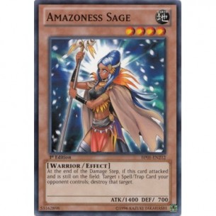 Saggio Amazoness (V.1 -...