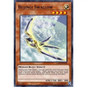 Bujingi Swallow