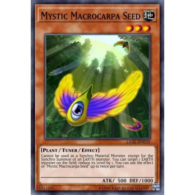 Mystic Macrocarpa Seed