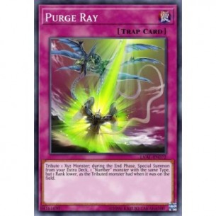 Purge Ray