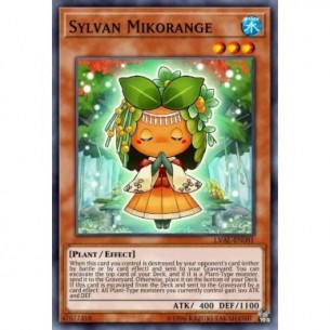 Mikoarancia Silvana