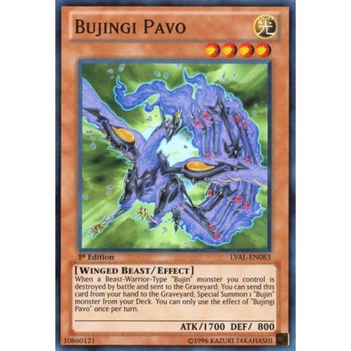 Bujingi Pavo