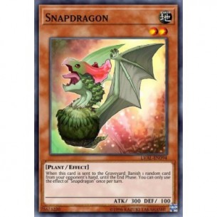 Scattodrago
