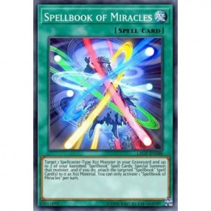 Libro di Magia dei Miracoli