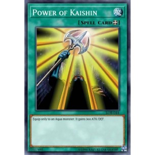 Potere di Kaishin