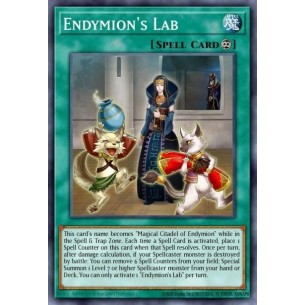 Laboratorio di Endymion