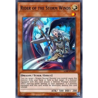 Rider of the Storm Winds