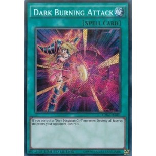 Dark Burning Attack