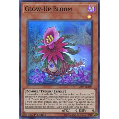 Glow-Up Bloom