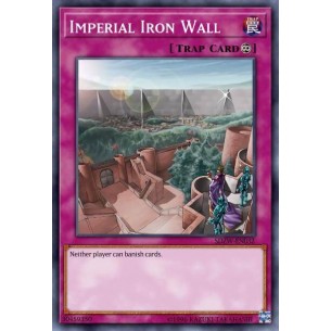 Muro di Ferro Imperiale