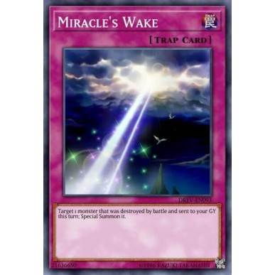 Risveglio del Miracolo