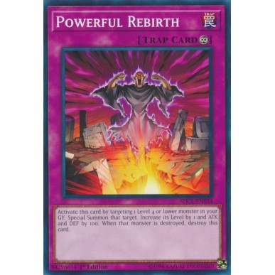 Rinascita Potente