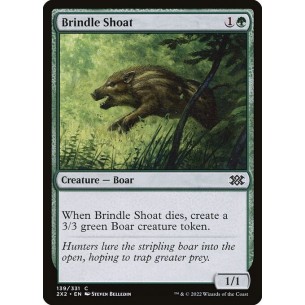 Brindle Shoat
