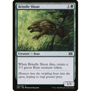 Brindle Shoat