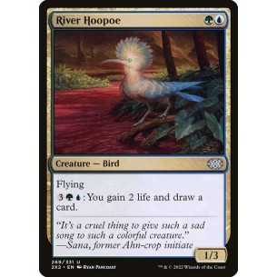 River Hoopoe