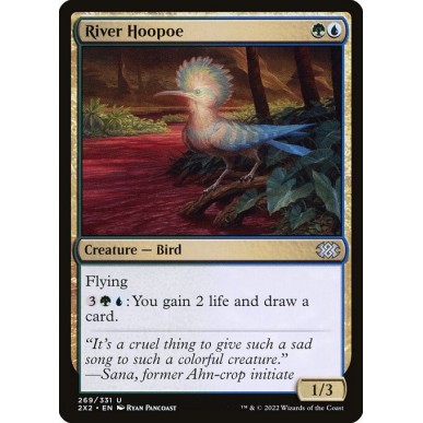 River Hoopoe