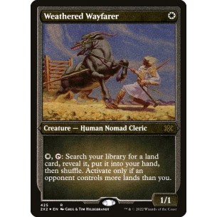Weathered Wayfarer