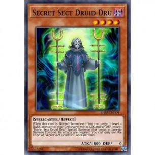 Secret Sect Druid Dru