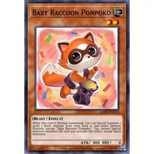 Baby Raccoon Ponpoko