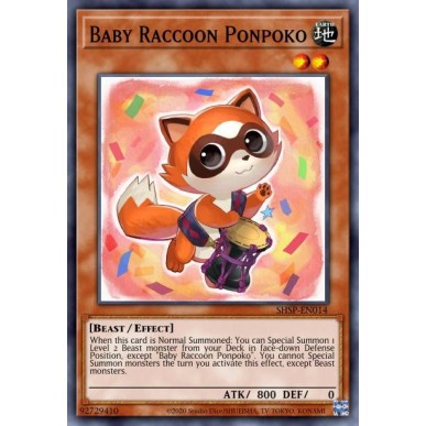 Baby Raccoon Ponpoko