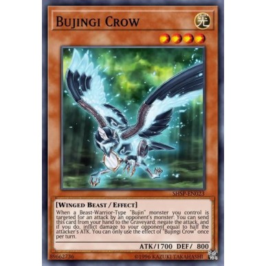Bujingi Corvo