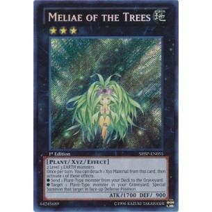 Meliae of the Trees