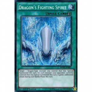 Dragon's Fighting Spirit...
